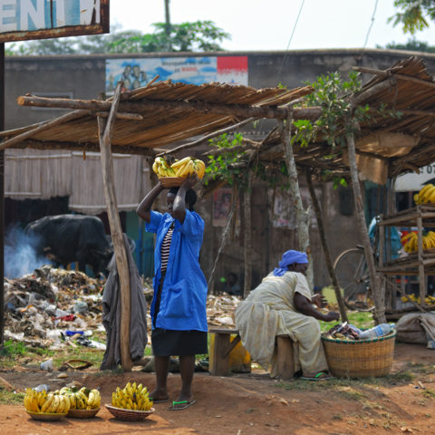 Justice Needs and Satisfaction in Uganda