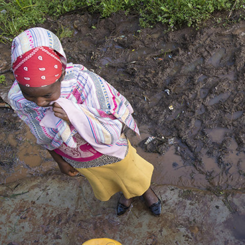 Justice Needs and Satisfaction Survey in Ethiopia