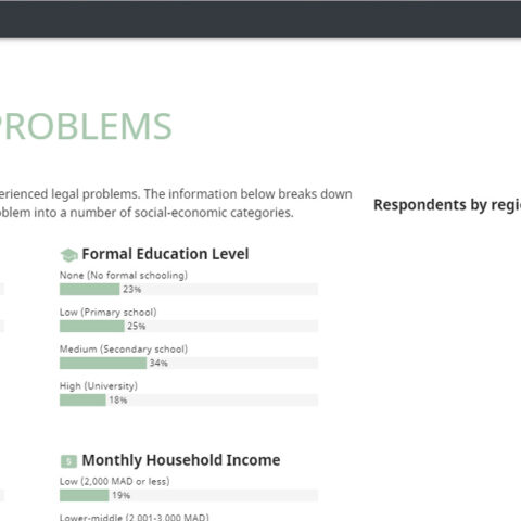 New ways of presenting data: an online prototype