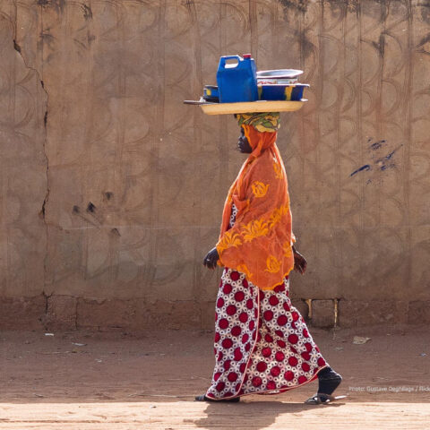 Besoins et Satisfaction en matière de Justice au Niger