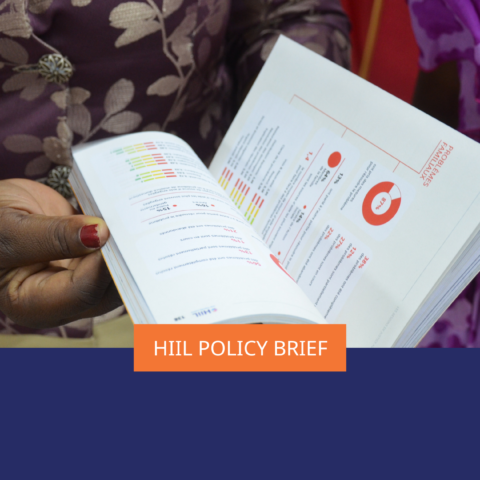 Policy Brief: How to figure out “What works” in People-centred justice?